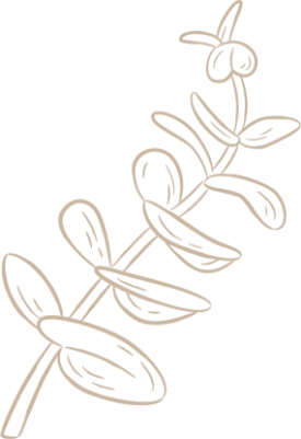 ecogranelvera,productos ecologicos en vera,productos naturales en vera ecogranelvera