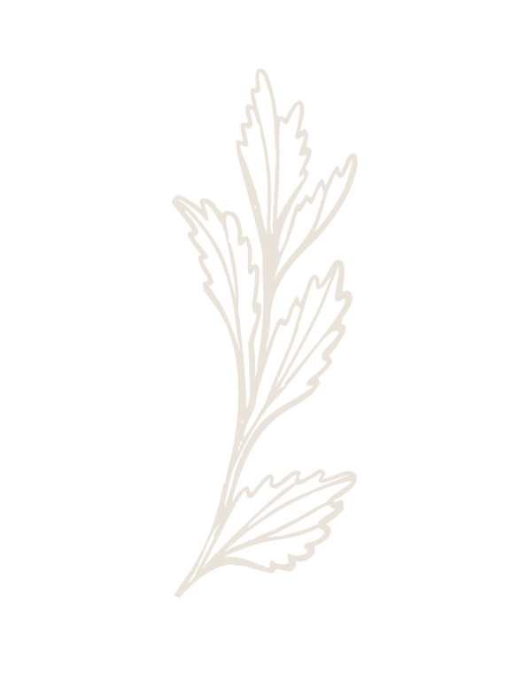 ecogranelvera,productos ecologicos en vera,productos naturales en vera ecogranelvera