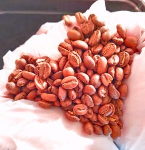 WhatsApp Image 2025-10-14 at 08.50.11