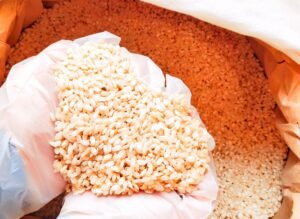 WhatsApp Image 2025-10-14 at 08.50.12 (1)