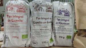 WhatsApp Image 2025-10-15 at 10.33.12