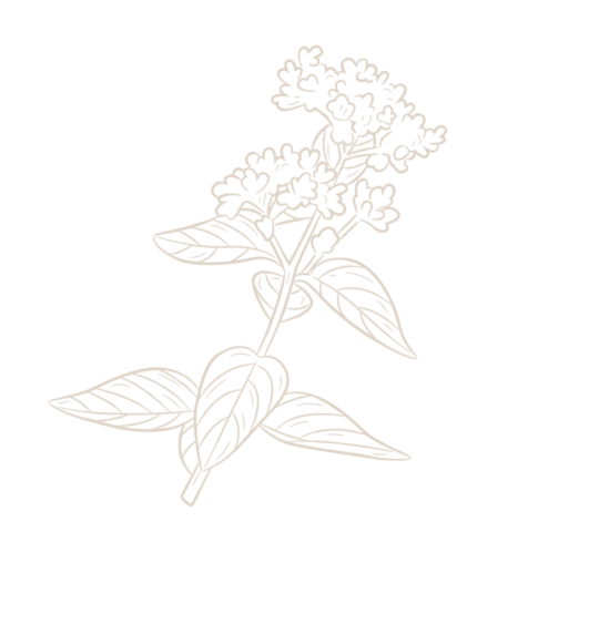 ecogranelvera,productos ecologicos en vera,productos naturales en vera ecogranelvera